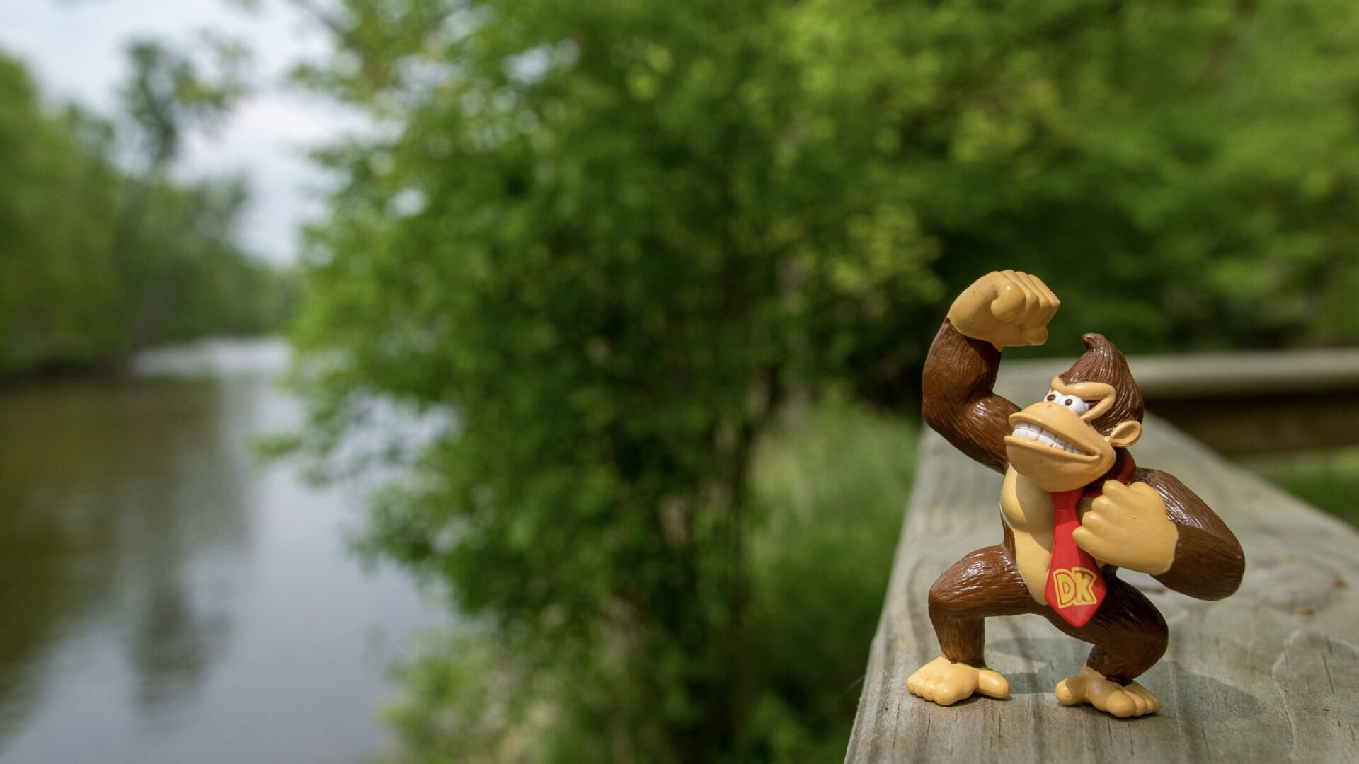 Donkey Kong