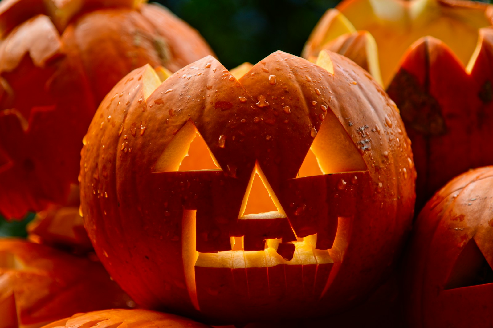 Jack-O-Lantern