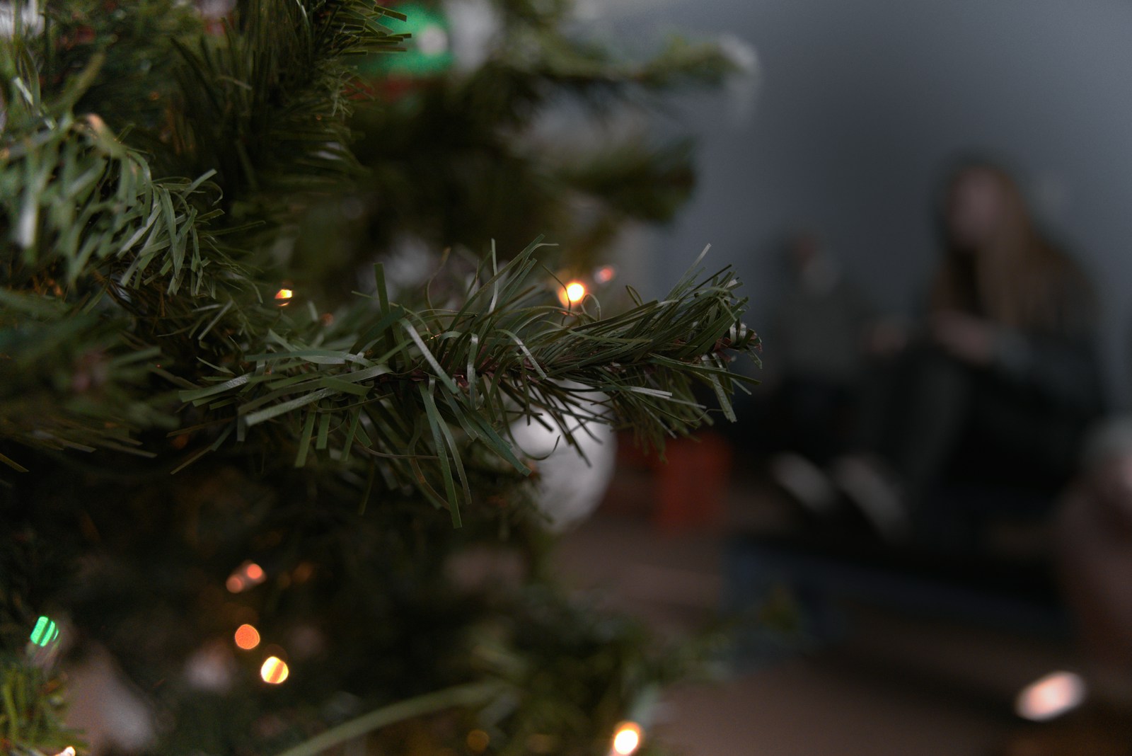 a tree with lights