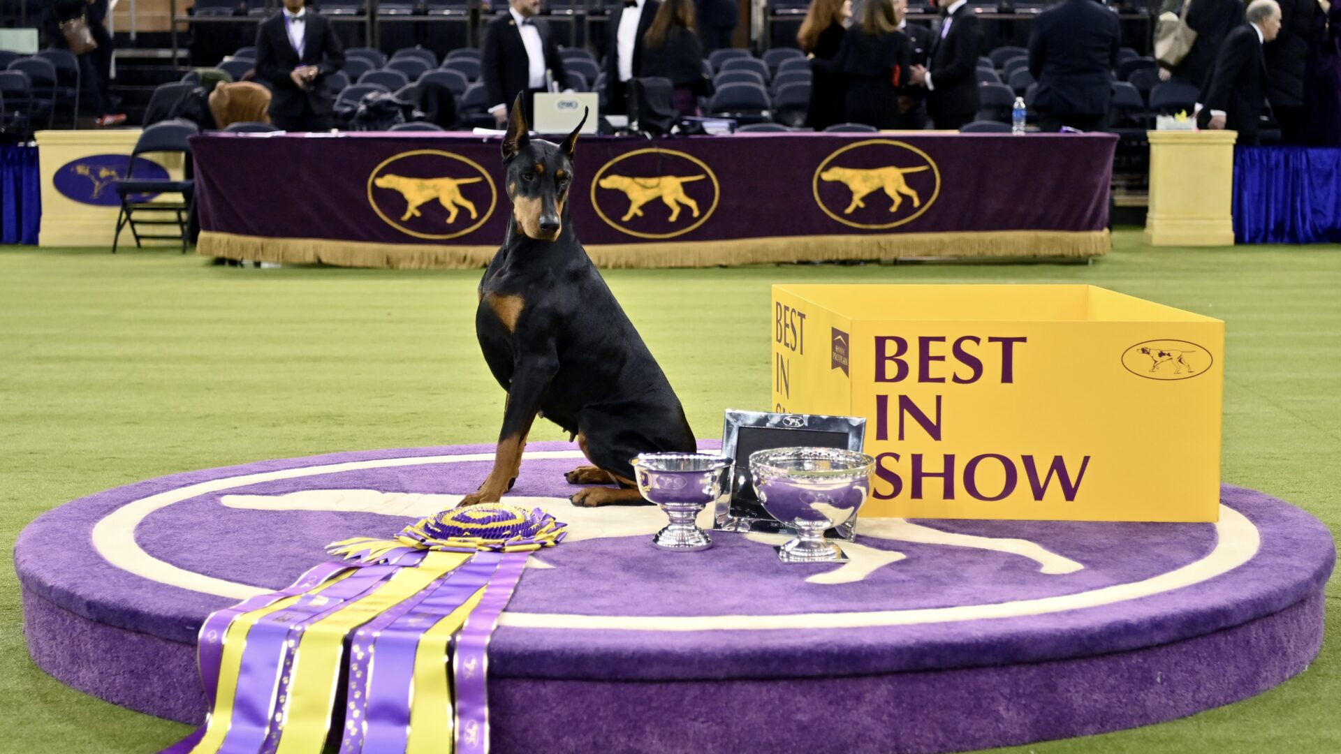 Westminster Kennel Club