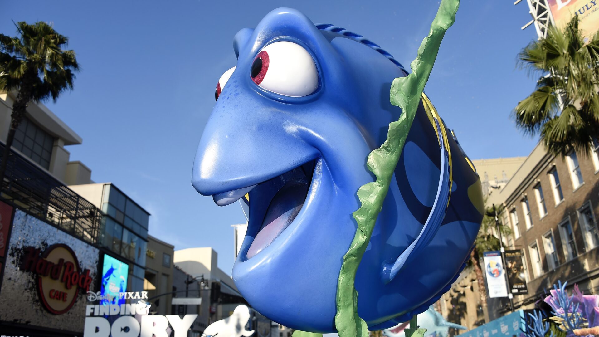 FINDING DORY
