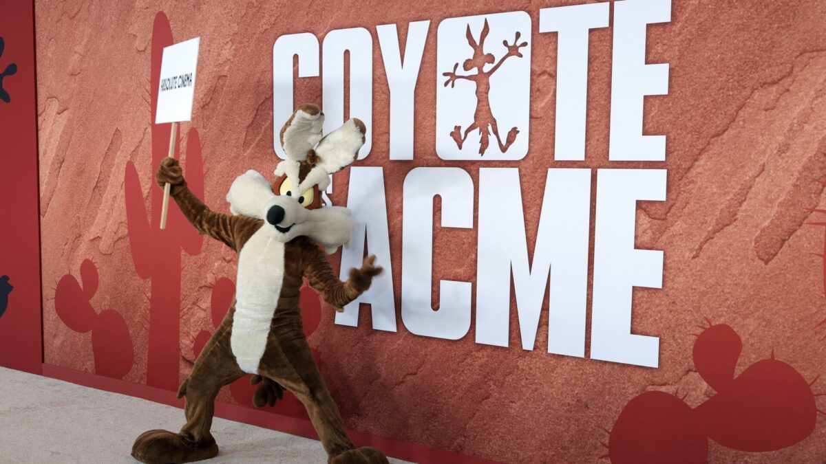 COYOTE VS ACME